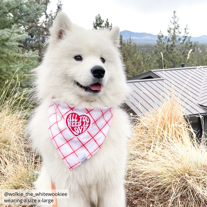 All You Need is Love Bandana