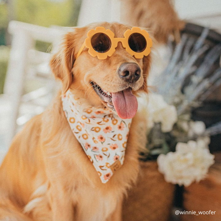 Flower Sunglasses