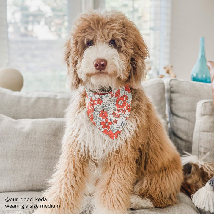 Christmas Floral Bandana