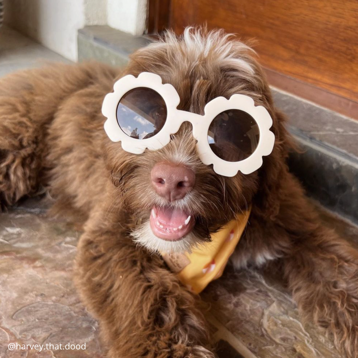 Flower Sunglasses