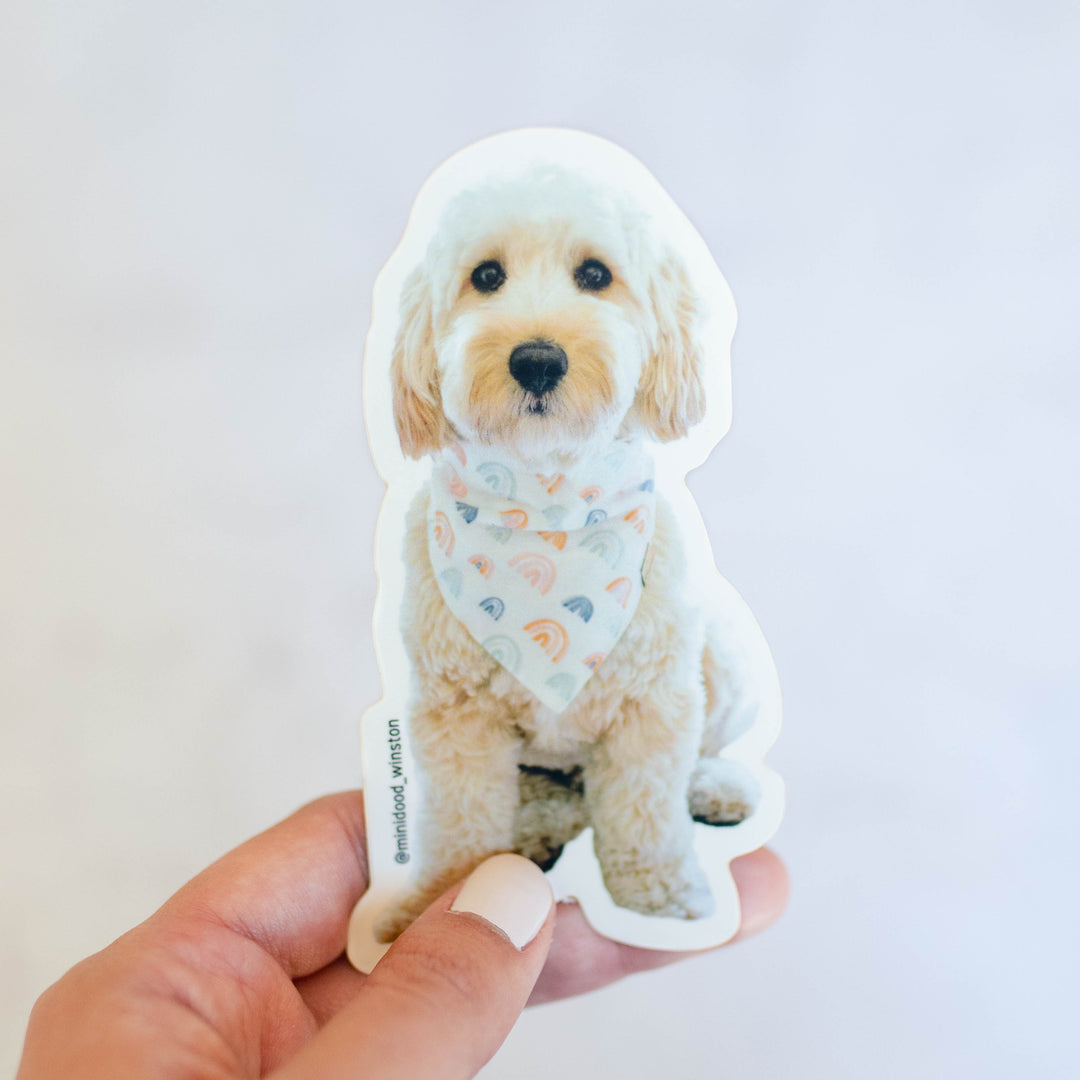 Mini Goldendoodle Sticker