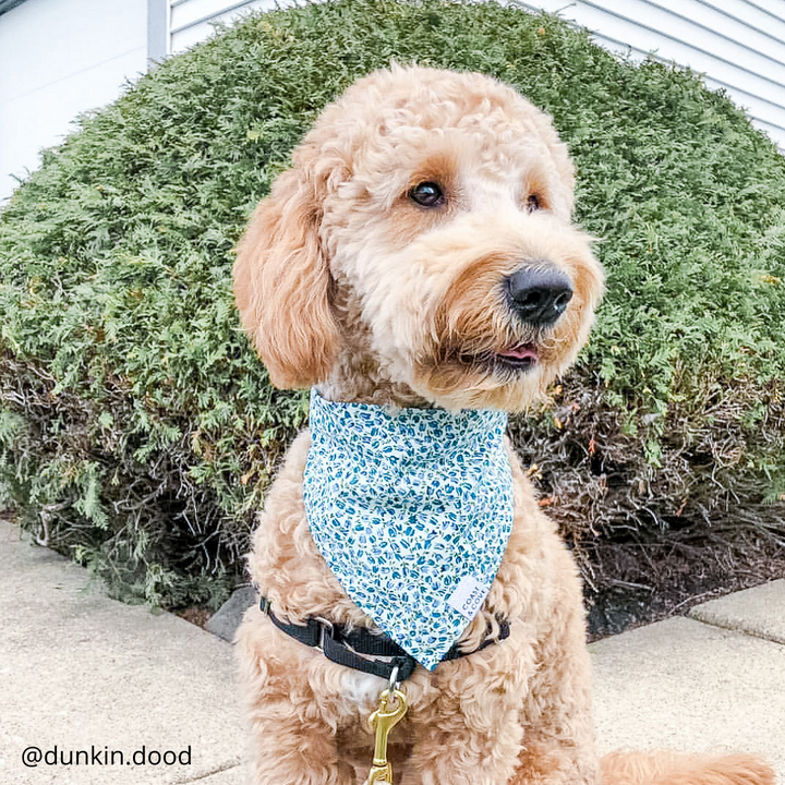 Blooming Buds Bandana