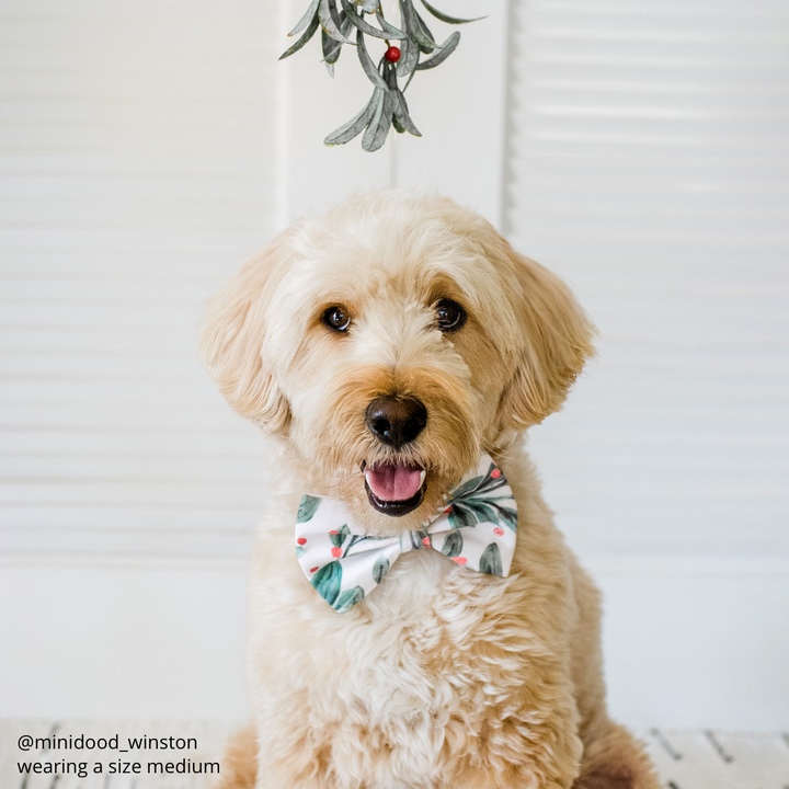 Under the Mistletoe Bow Tie