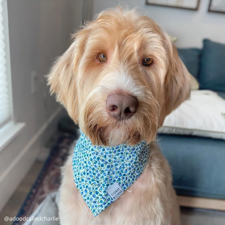Blooming Buds Bandana