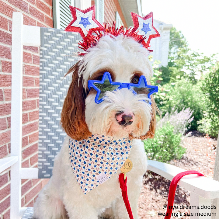 Patriotic Star Sunglasses