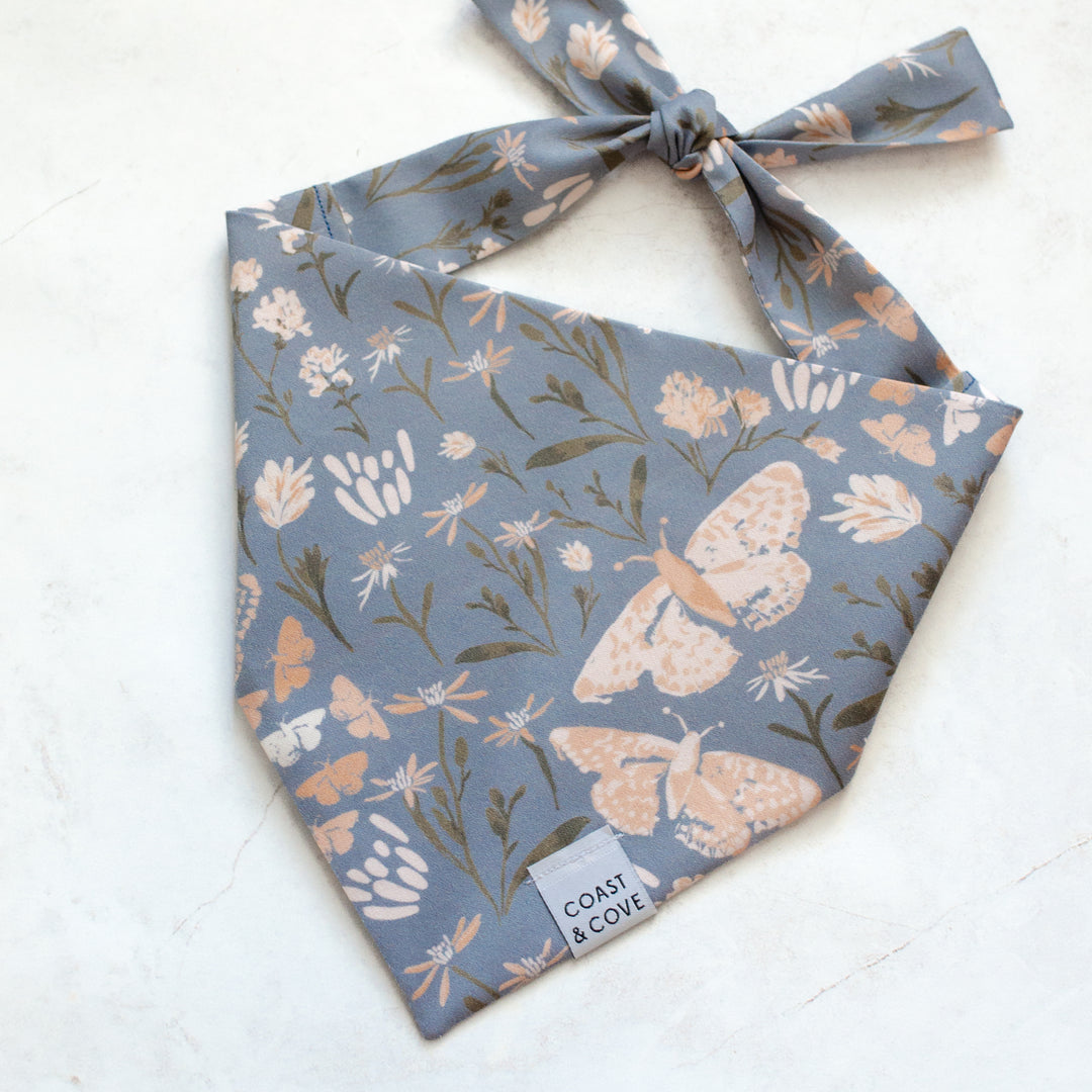 Autumn Nights Bandana