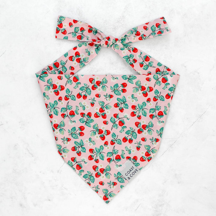Berry Sweet Bandana
