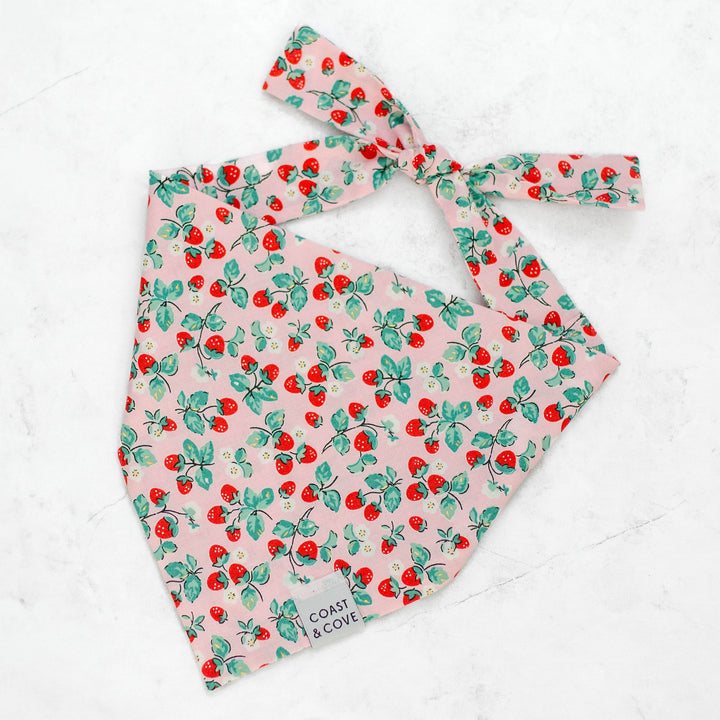 Berry Sweet Bandana