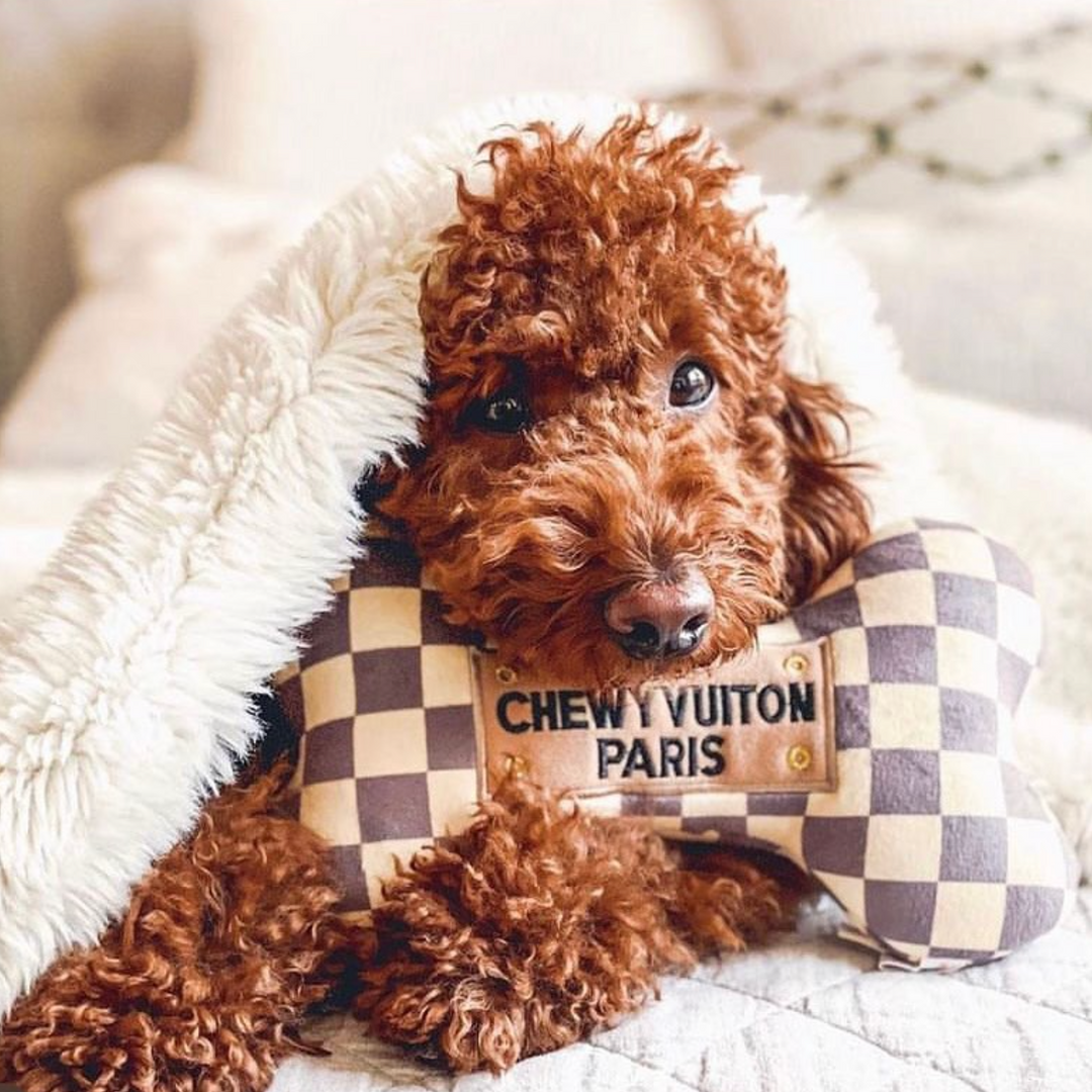 Chewy Vuiton Bone Dog Toy