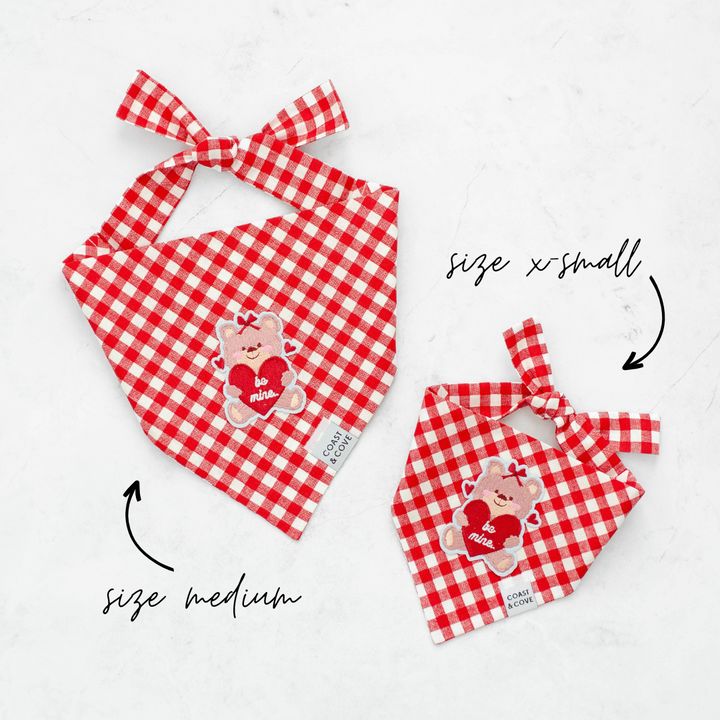 Be Mine Bear Bandana