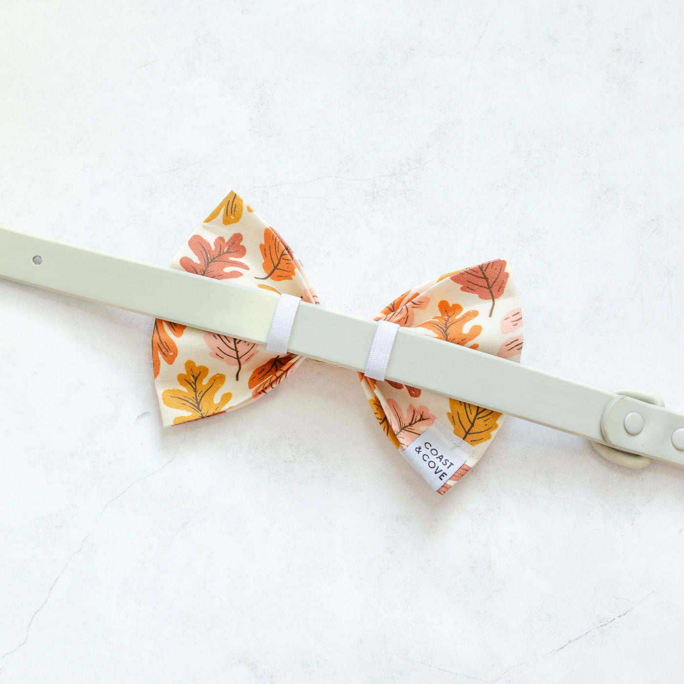 Falling Leaves Bow Tie