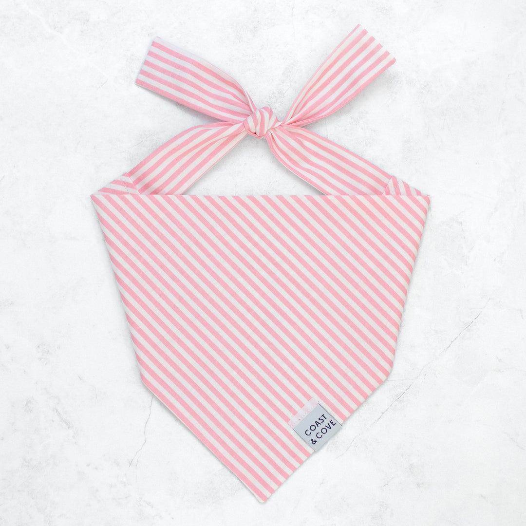 Pink Stripe Bandana
