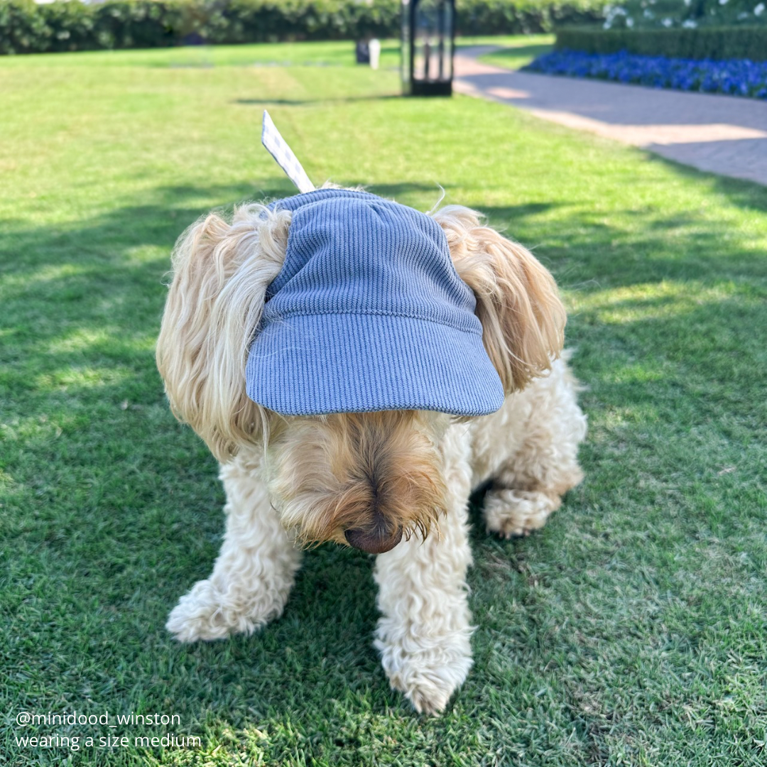 Baseball Hat for Dogs