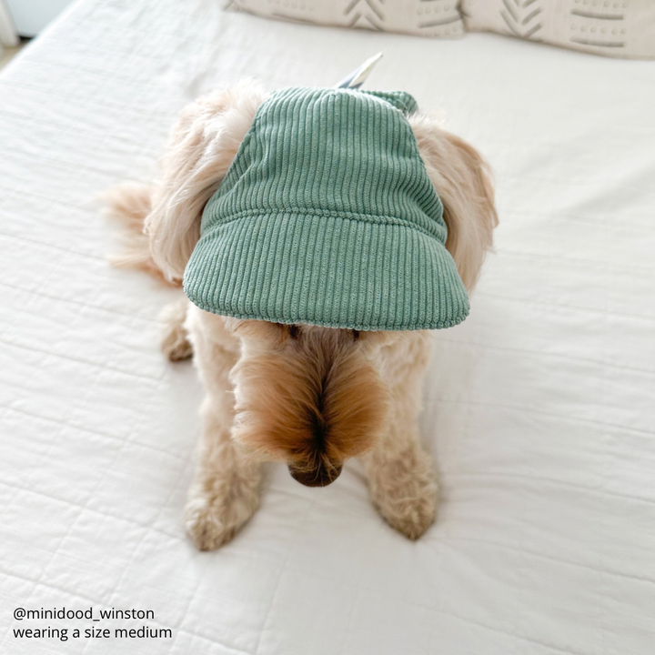 Baseball Hat for Dogs