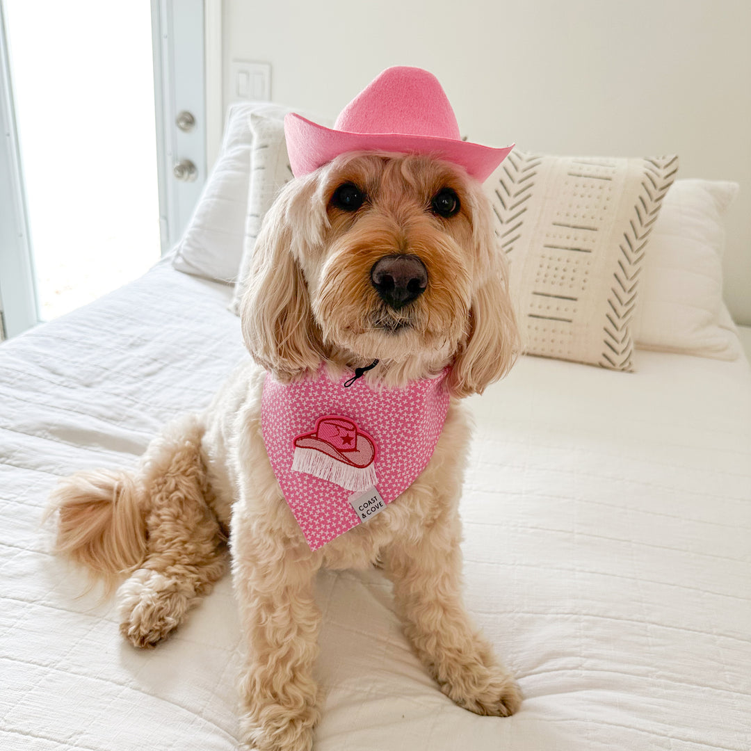 Let's Go Girls Bandana