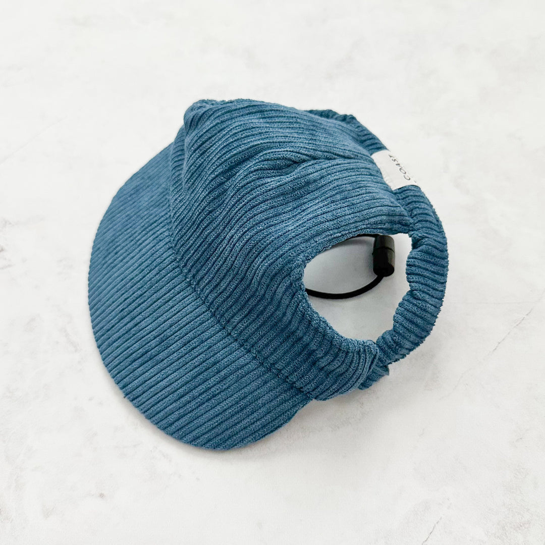 Baseball Hat for Dogs