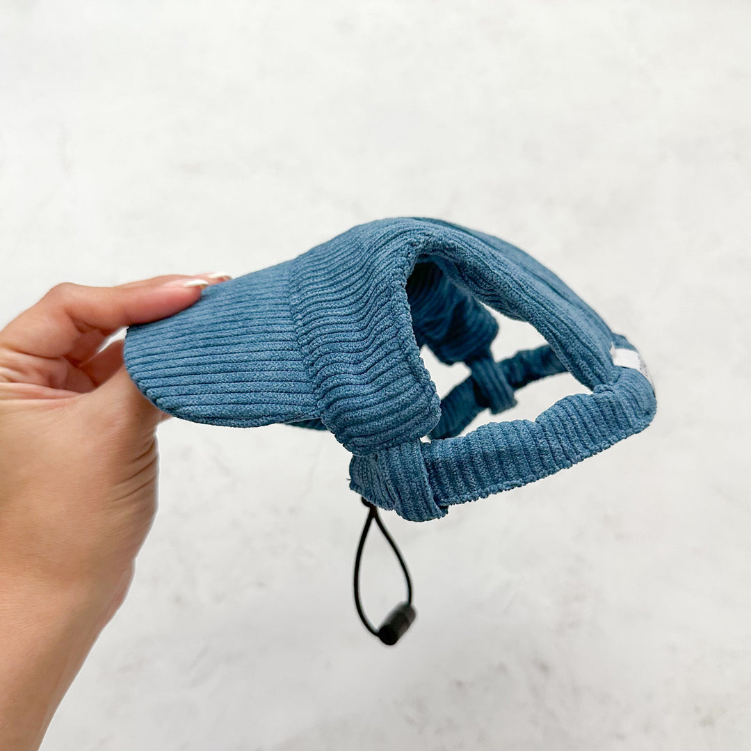 Baseball Hat for Dogs
