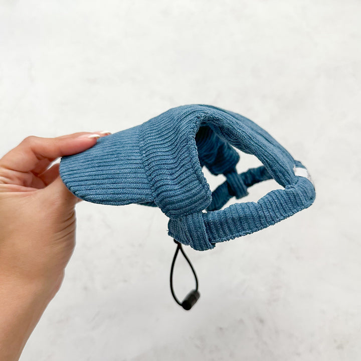 Baseball Hat for Dogs