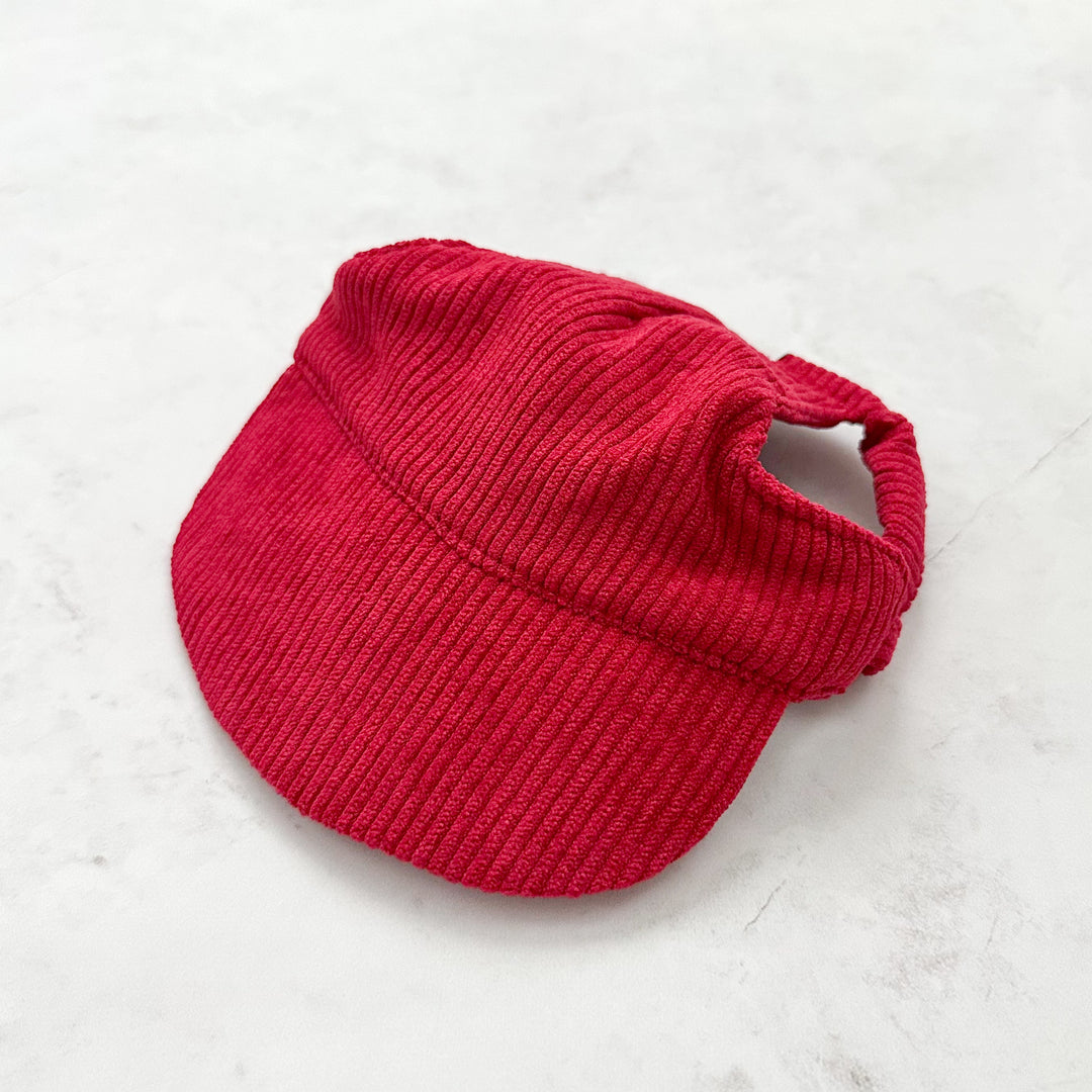 Baseball Hat for Dogs