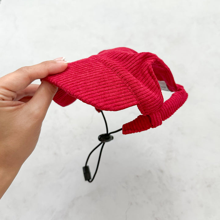 Baseball Hat for Dogs