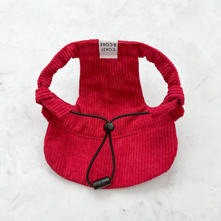 Baseball Hat for Dogs