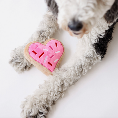 Sugar Cookie Heart Dog Toy