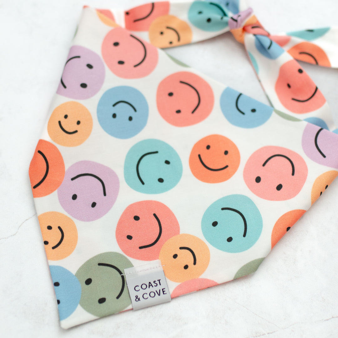 Rainbow Smiles Bandana