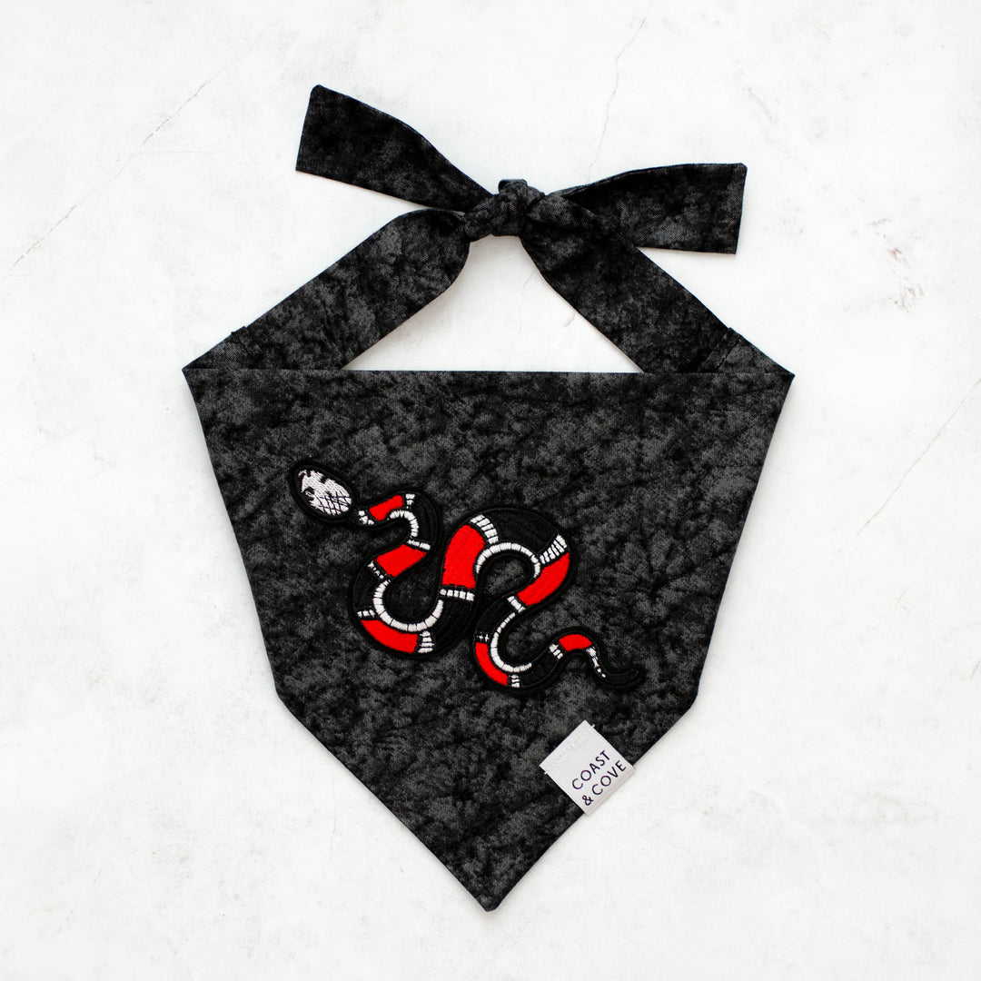 Big Reputation Bandana