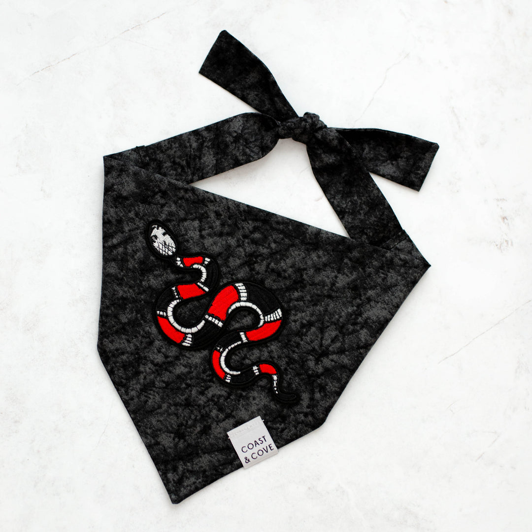 Big Reputation Bandana