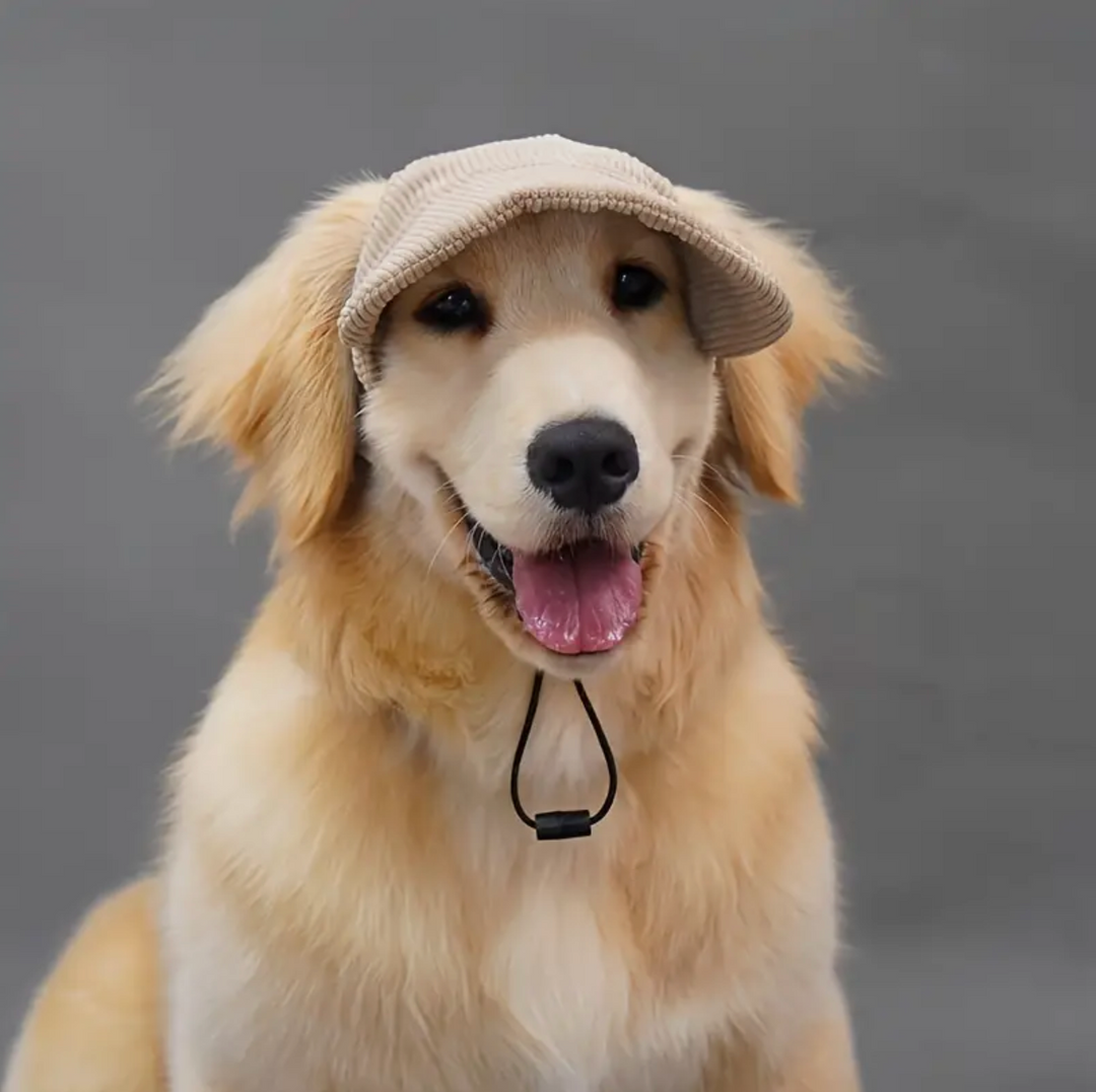 Baseball Hat for Dogs