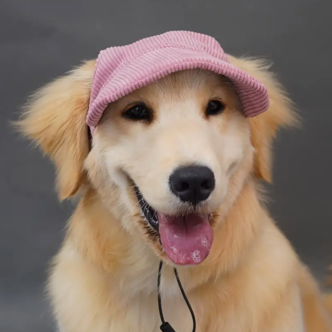 Baseball Hat for Dogs