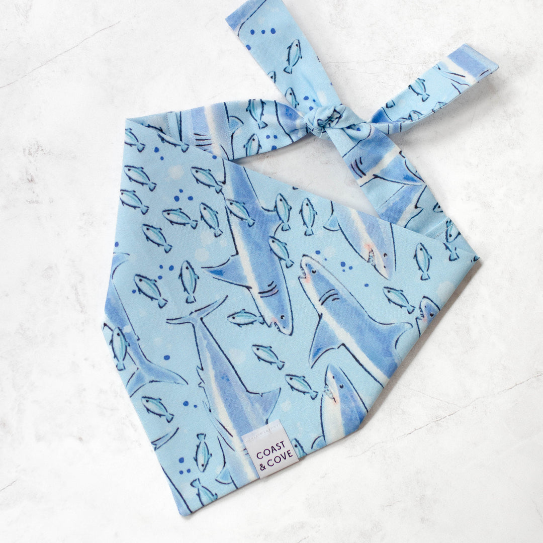 Shark Friends Bandana