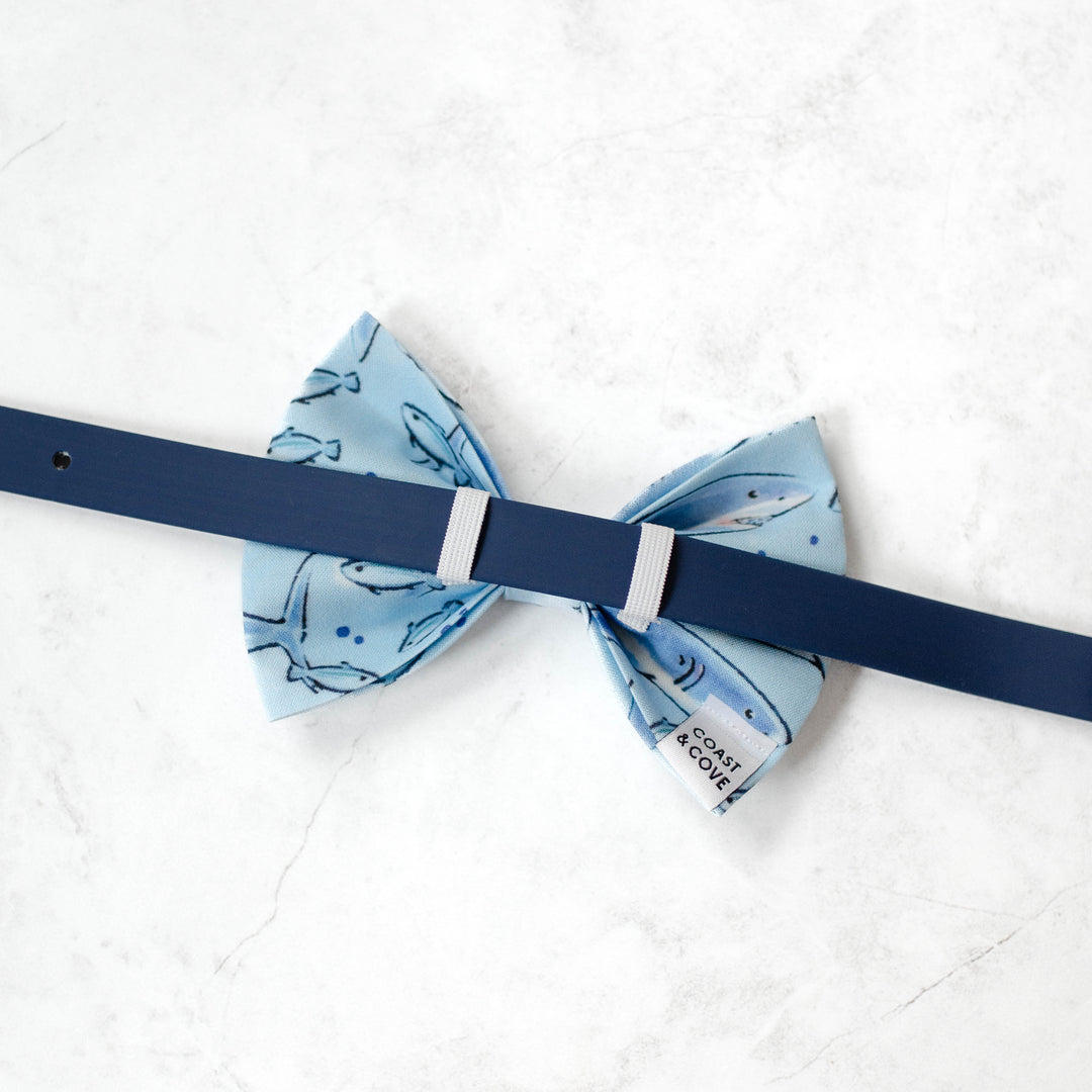 Shark Friends Bow Tie