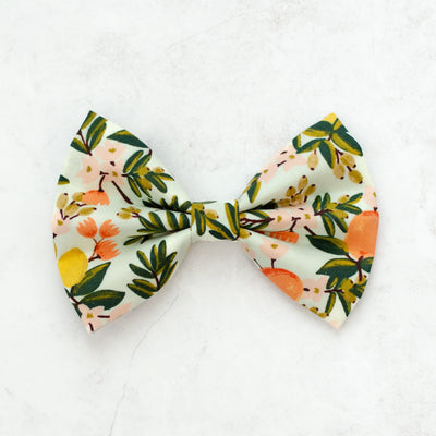 Sweet Clementine Bow Tie