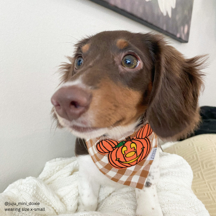 Mickey Pumpkin Bandana [LIMITED]