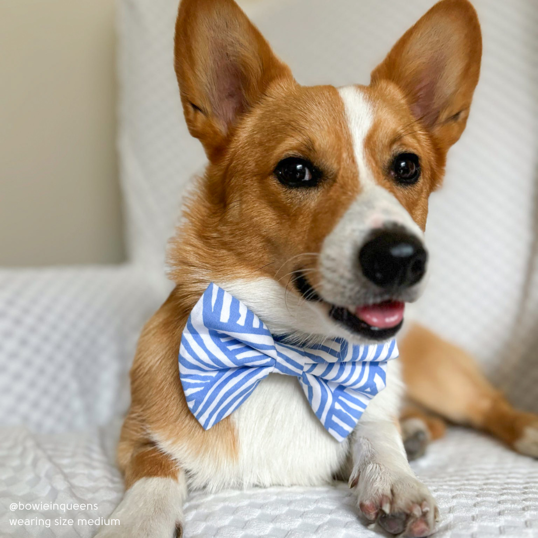 So Wavy Bow Tie