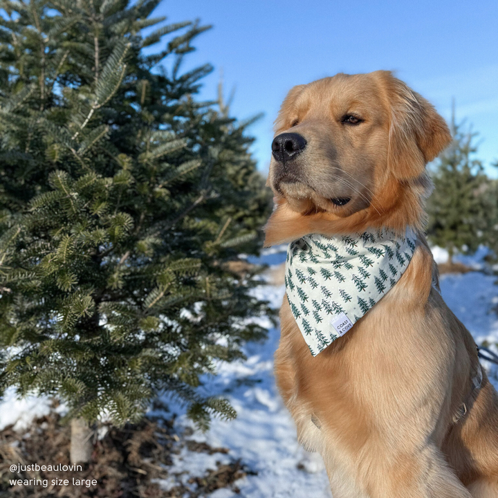 Frosted Forrest Bandana