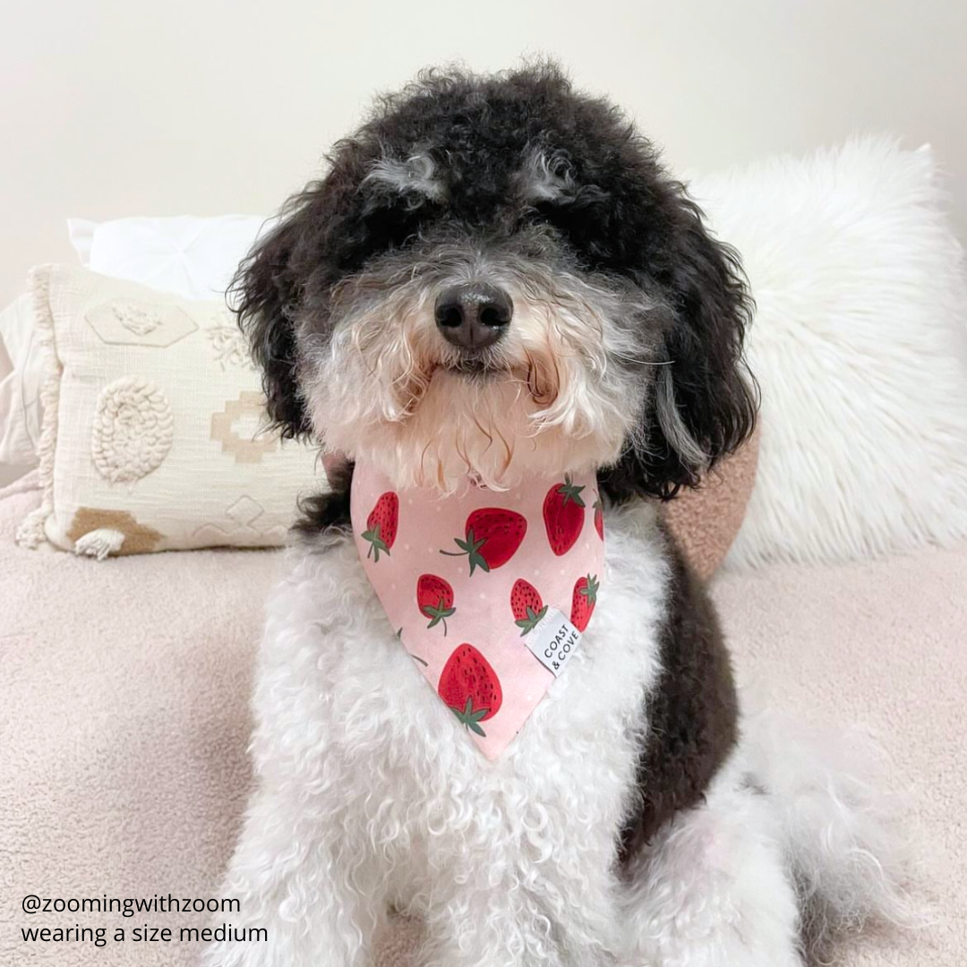 Strawberry Fields Bandana