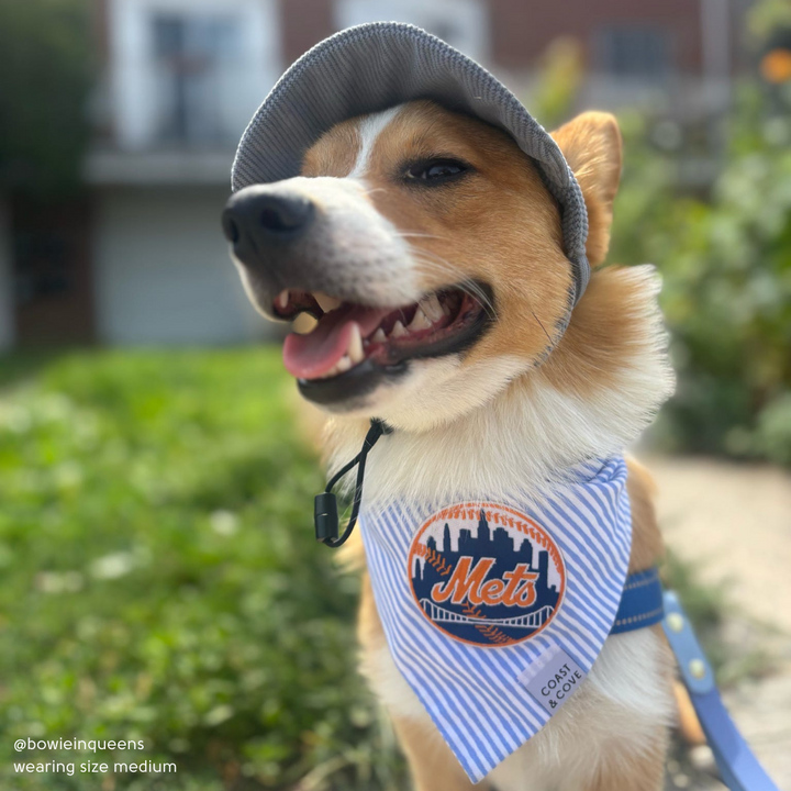 Your Team MLB Bandana [CUSTOM MADE TO ORDER]