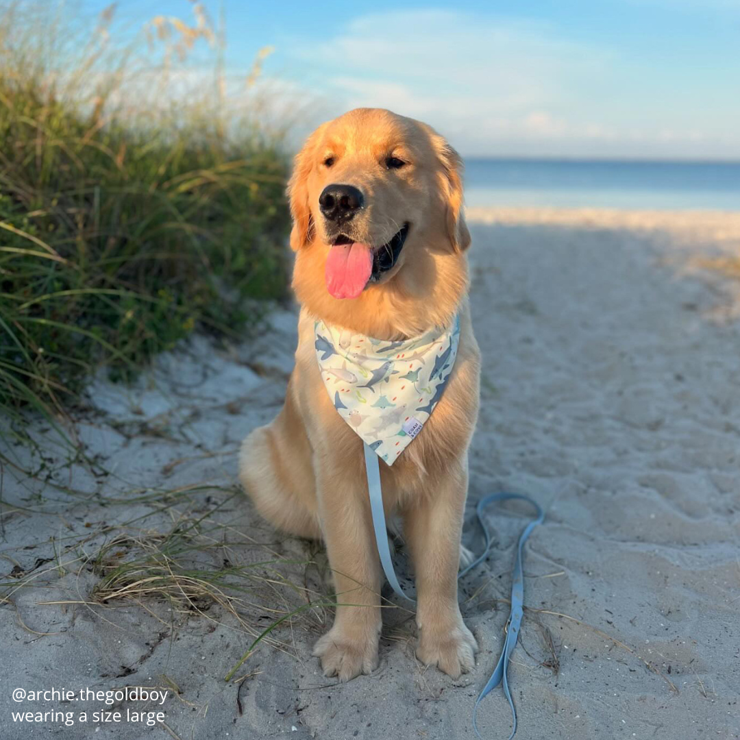 Deep Sea Bandana