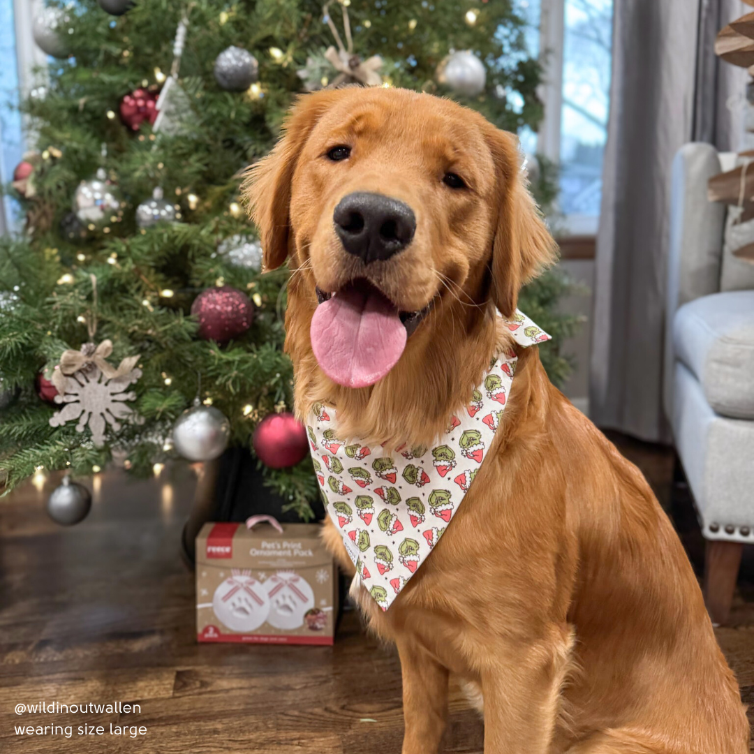 Grinchmas Bandana