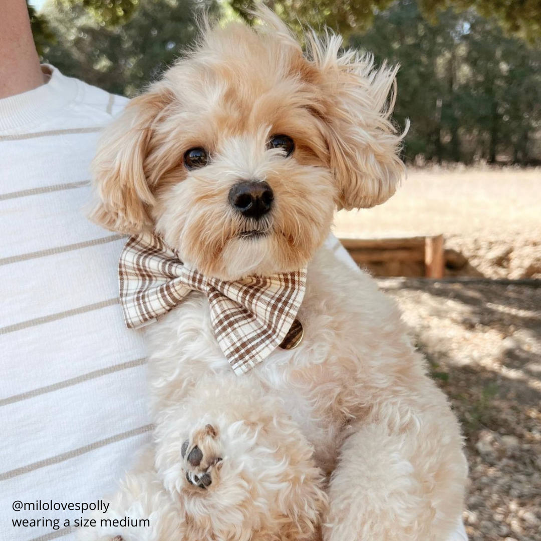 Woodland Plaid Flannel Bow Tie up