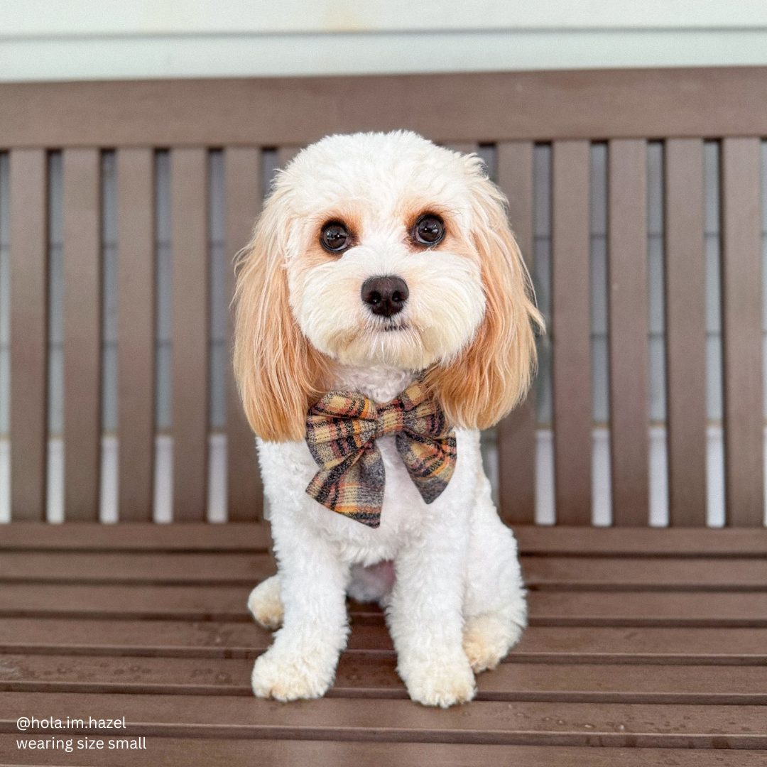 Willow Plaid Flannel Sailor Bow