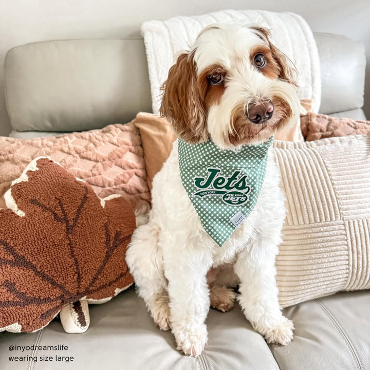 Your Team NFL Bandana [CUSTOM MADE TO ORDER]