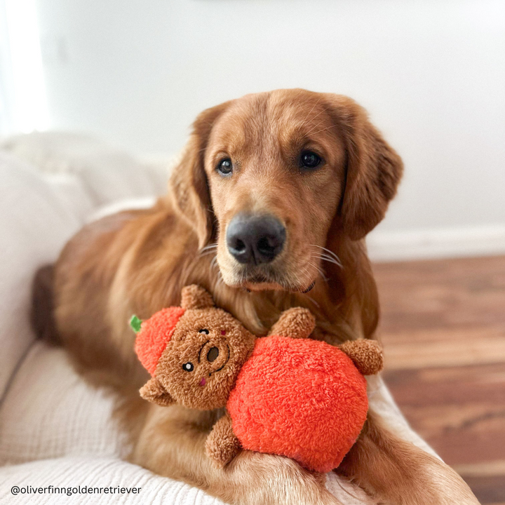 Halloween Pumpkin Bear Dog Toy