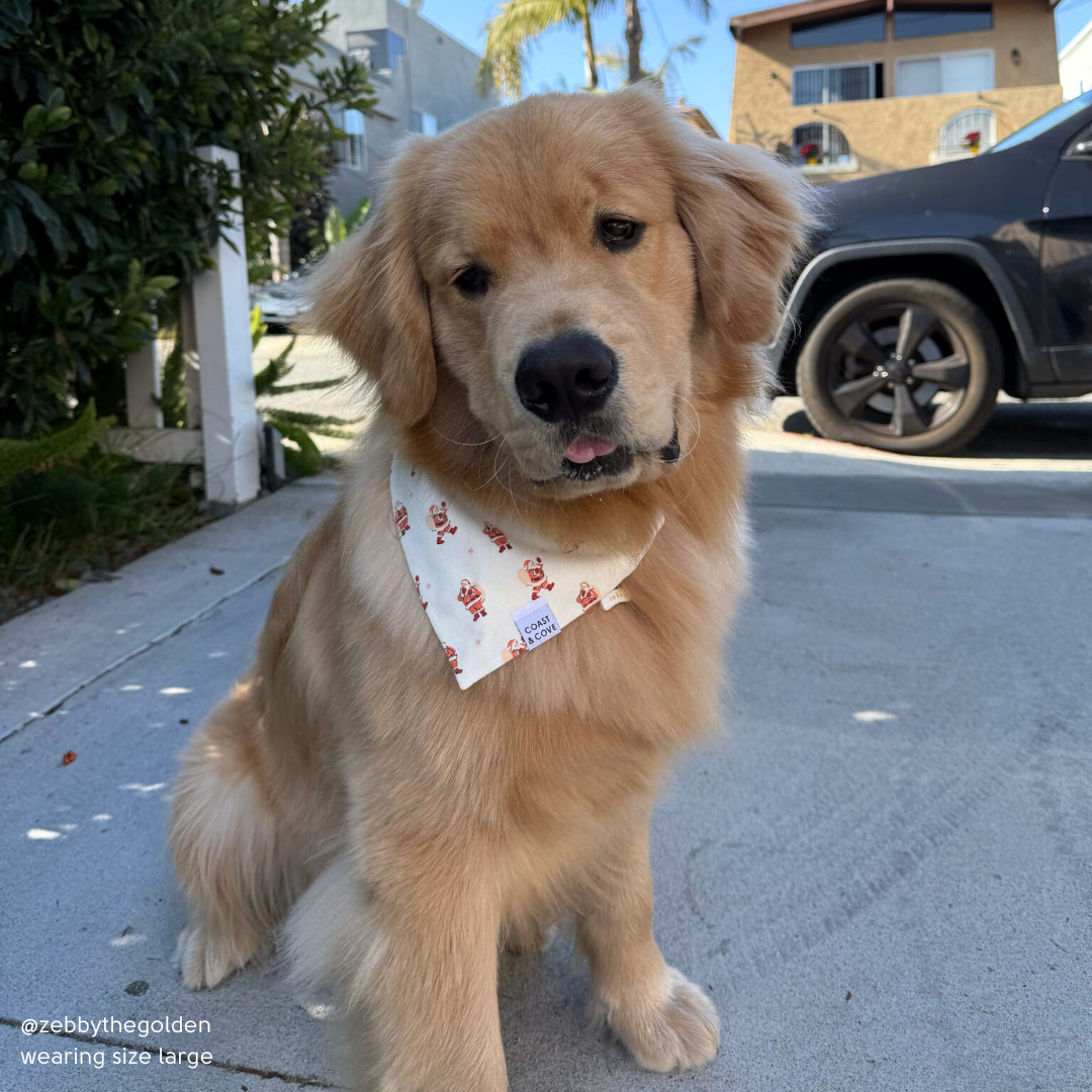 Vintage Santa Bandana