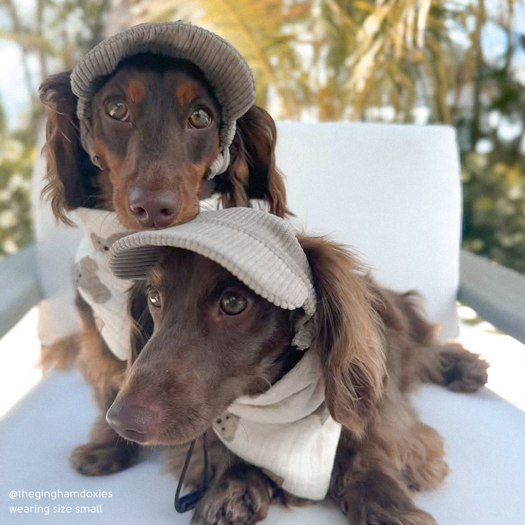 Baseball Hat for Dogs
