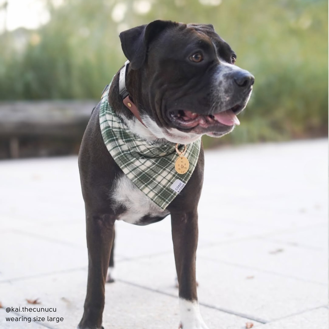 Winter Pine Plaid Flannel Bandana