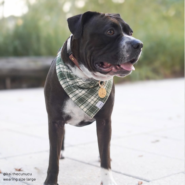 Winter Pine Plaid Flannel Bandana