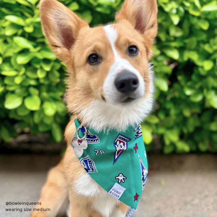 Varsity Mickey & Minnie Bandana